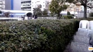 日韩精品一区的|亚洲精品99久久久久中文字幕